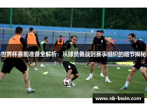 世界杯赛前准备全解析：从球员备战到赛事组织的细节揭秘